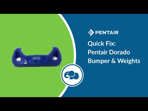 Pentair Dorado Bumper | 360152