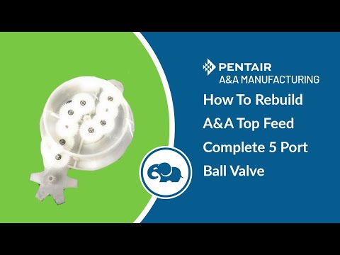 Top Feed Complete 5 Port Ball Valve Rebuild Kit - Pentair In-Floor(A&A)