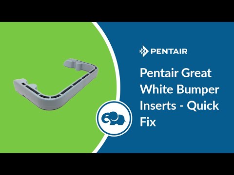 Pentair Kreepy Krauly Great White Bumper | GW9502