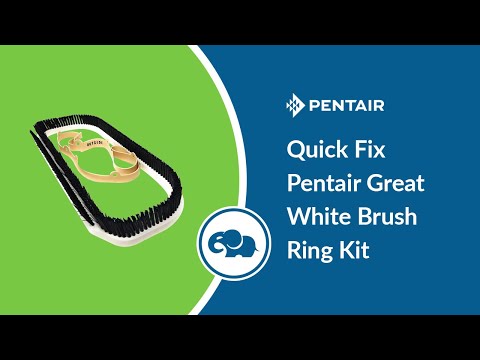 Pentair Kreepy Krauly Great White / Dorado Brush Ring Kit (Includes Vacuum Skirt)  | GW9505